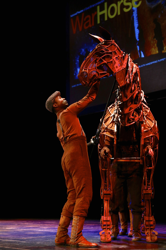War horse