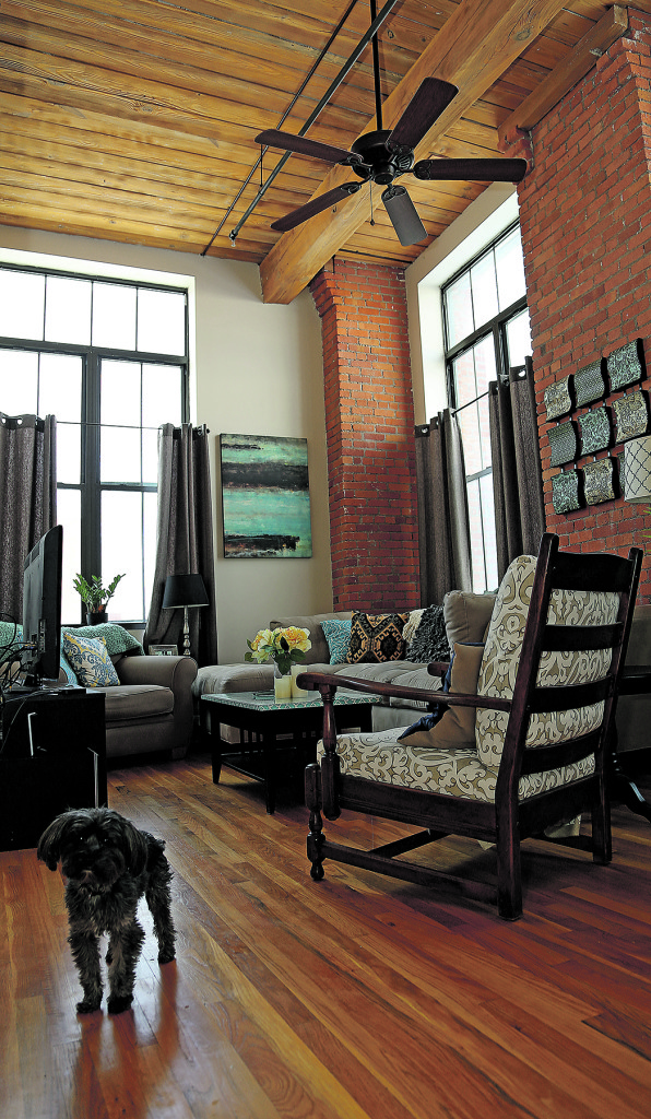 Benny, the dog of Angela Trapasso and Cory Brooks, stands in the living room of the couple's apartment at Franklin View Terrace Apartments, 210 W. Division St.