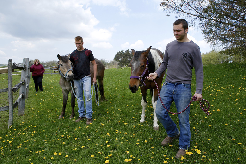 Drew Rauschi (black shirt) and Blake Curtil lead"Molly" and "Alexisia" back to the stable. Michael Davis Photo | Syracuse New Times