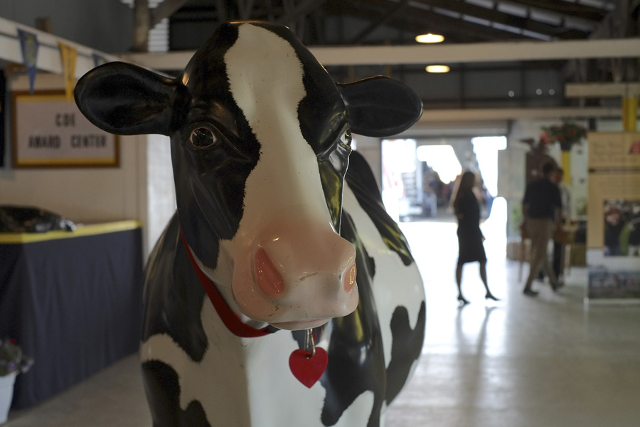 The New York State Fair 2014. Michael Davis Photo | Syracuse New Times