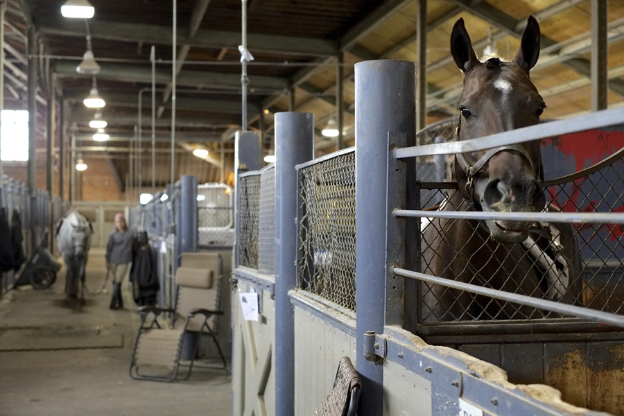The New York State Fair 2014. Michael Davis Photo | Syracuse New Times