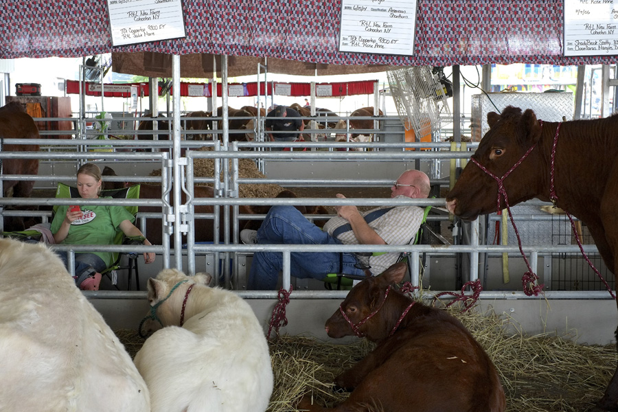 The New York State Fair 2014. Michael Davis Photo | Syracuse New Times