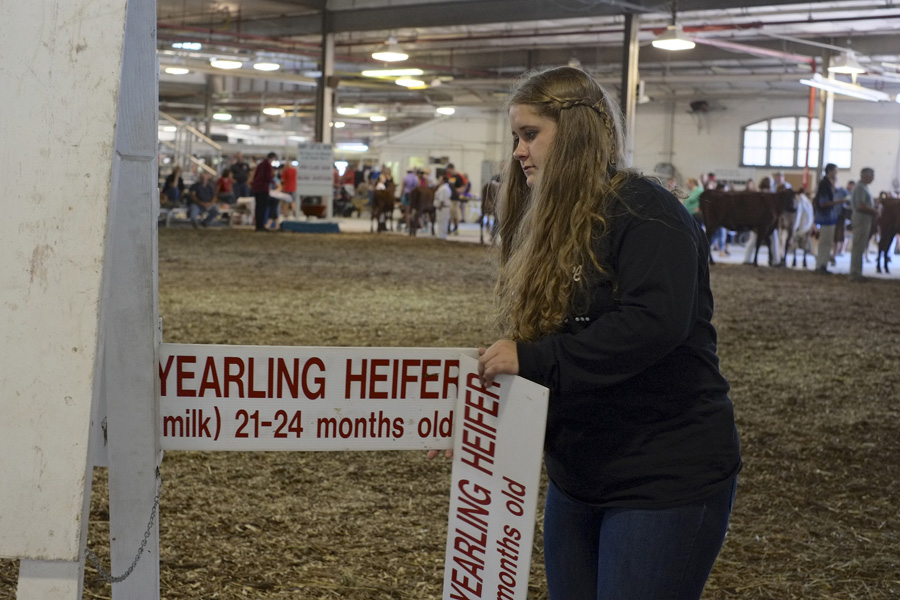 The New York State Fair 2014. Michael Davis Photo | Syracuse New Times