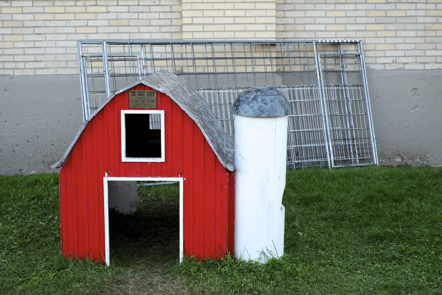 The New York State Fair 2014. Michael Davis Photo | Syracuse New Times
