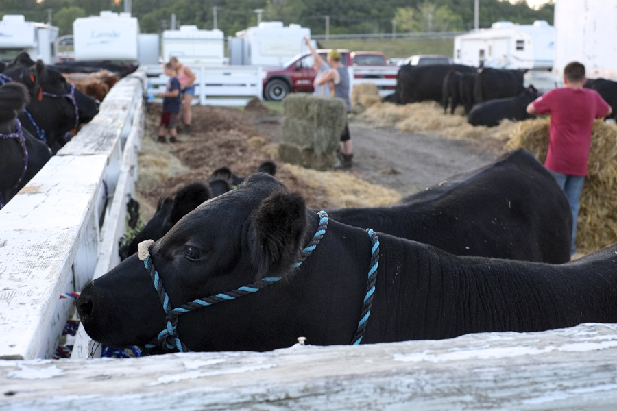 The New York State Fair 2014. Michael Davis Photo | Syracuse New Times