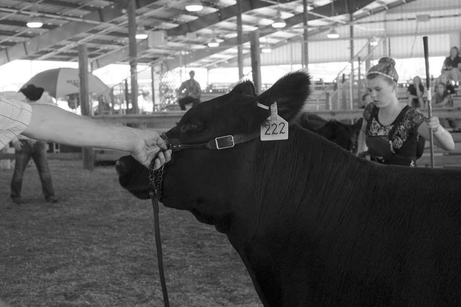 New York State Fair 2014. Michael Davis Photo | Syracuse New Times