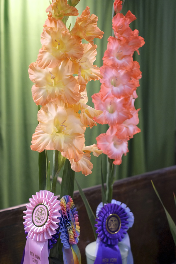 New York State Fair 2014. Michael Davis Photo | Syracuse New Times