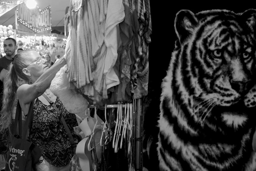 New York State Fair 2014. Michael Davis Photo | Syracuse New Times