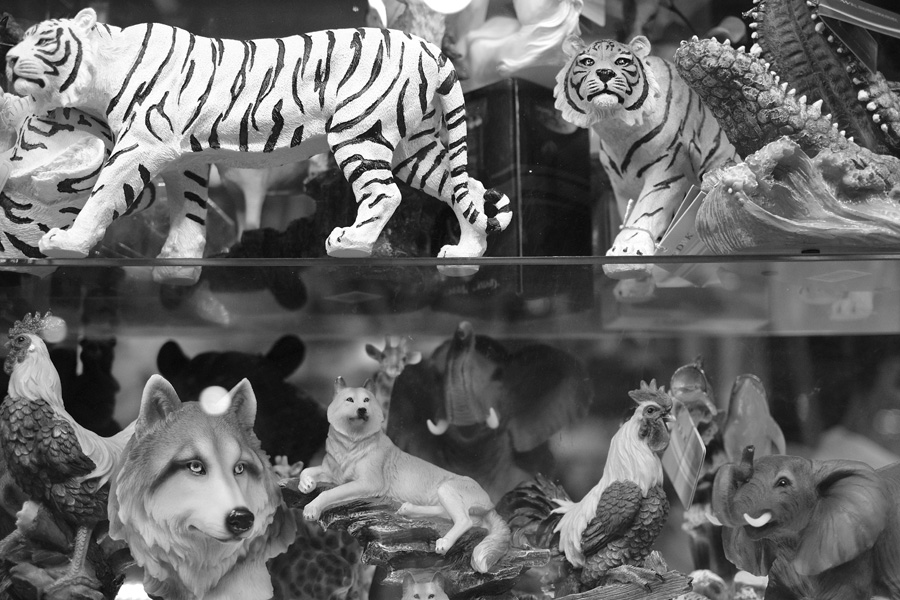 New York State Fair 2014. Michael Davis Photo | Syracuse New Times