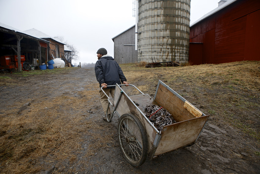 GreyRock Farm