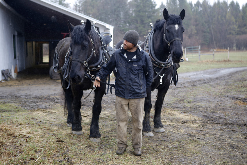 GreyRock Farm