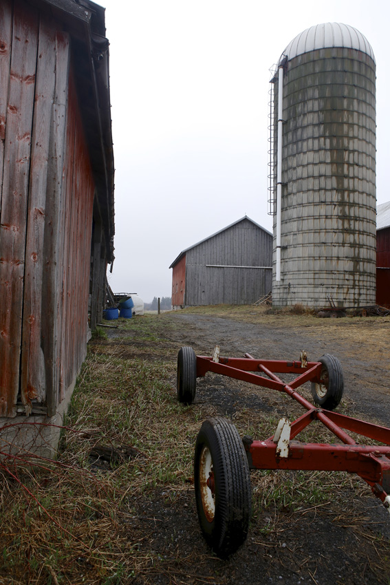 GreyRock Farm
