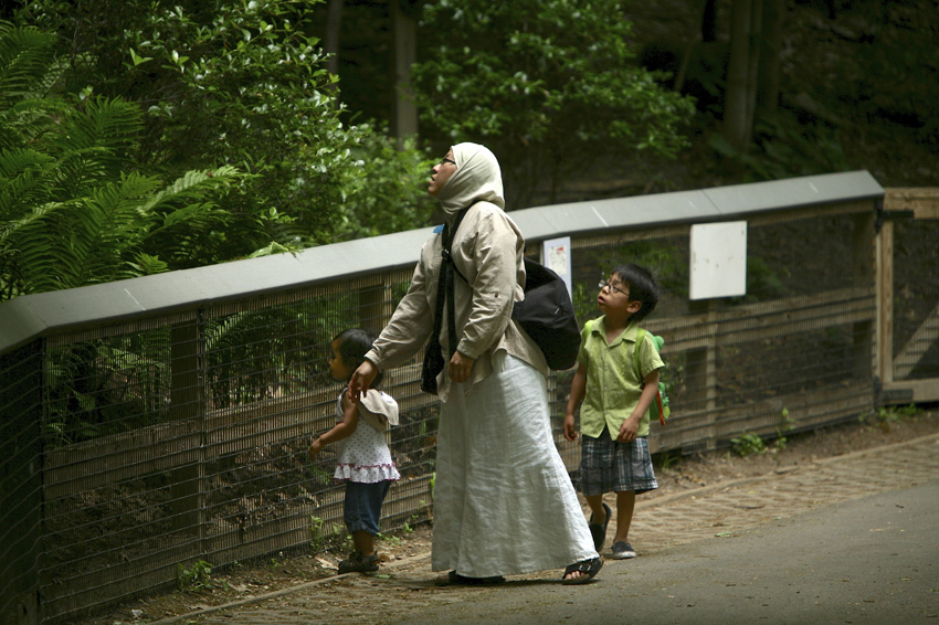 Syracuse Zoo
