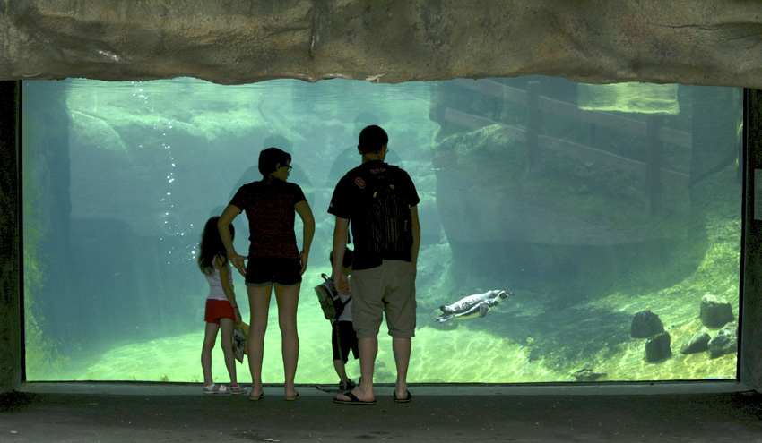 Syracuse Zoo