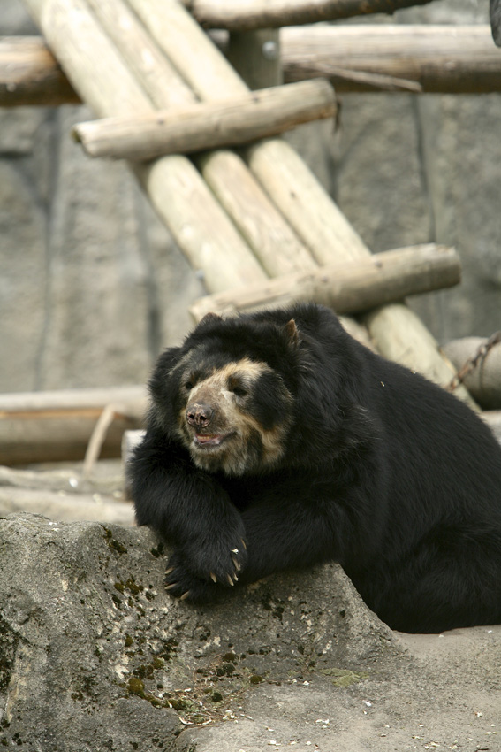Syracuse Zoo
