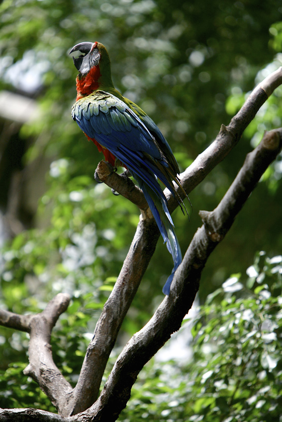Syracuse Zoo