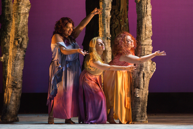 SIDEBAR KarliCadel-Flute-StageOrch-003