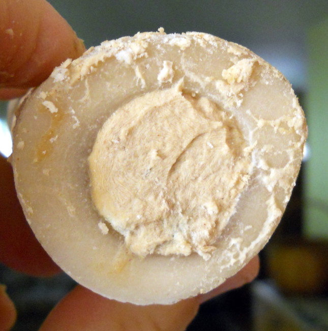 The Frozen Peanut Butter Boney.