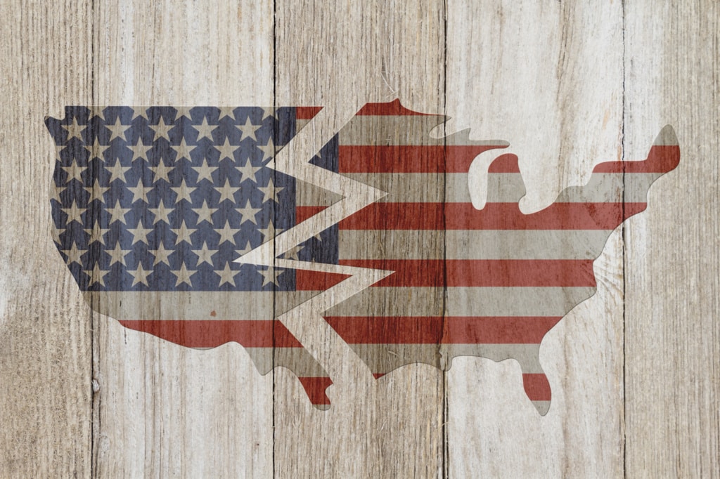 America’s Split Political Personality - Syracuse New Times